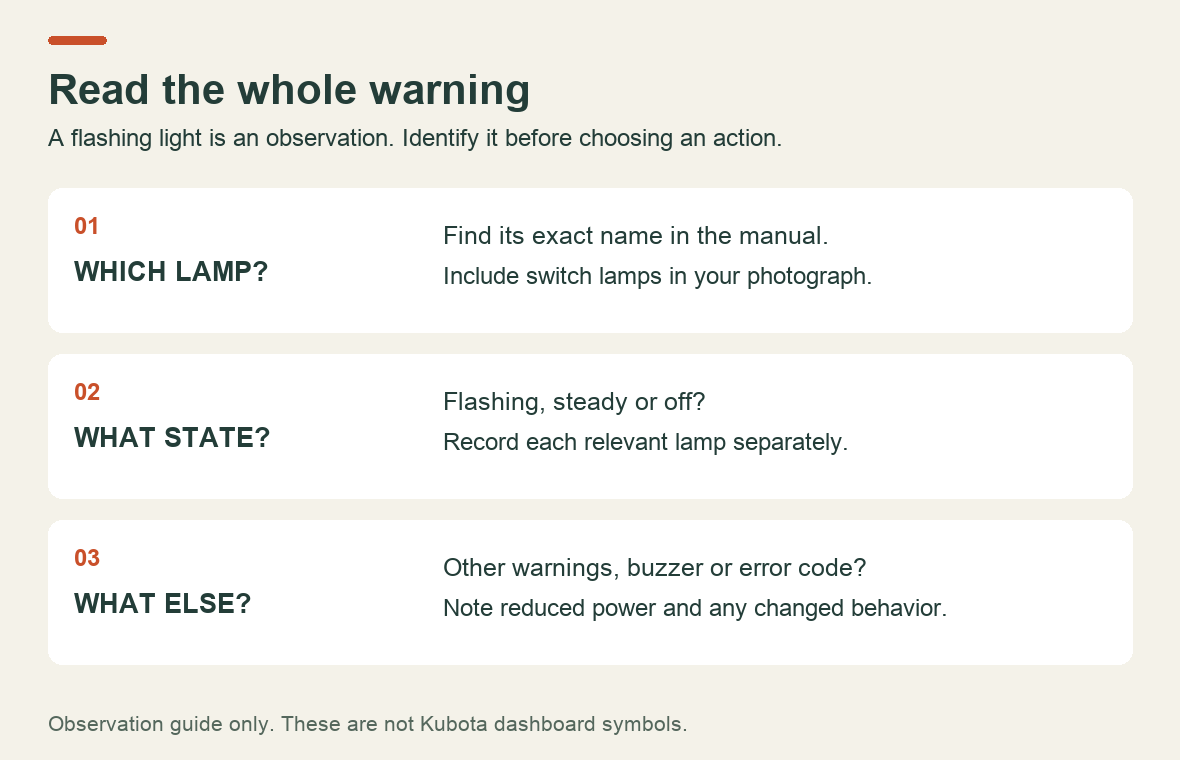 Three observations to record: exact lamp identity, flashing or steady state, and accompanying warnings